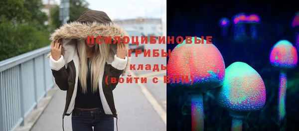 хмурый Елабуга