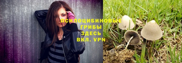 герыч Ельня