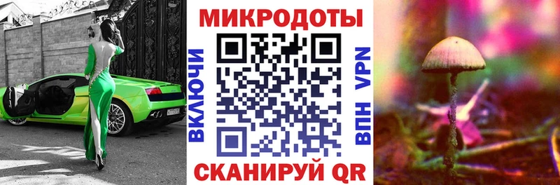Псилоцибиновые грибы мухоморы где купить наркоту Новомосковск
